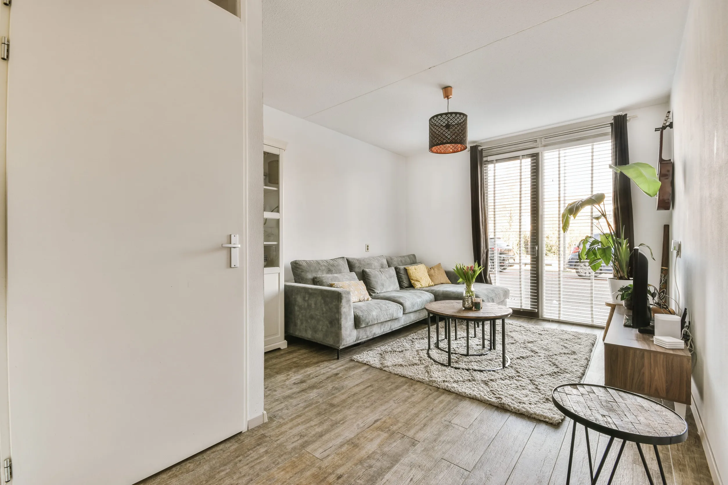 Comfortable sofa and armchair placed on soft carpet near windows in cozy light living room in modern flat